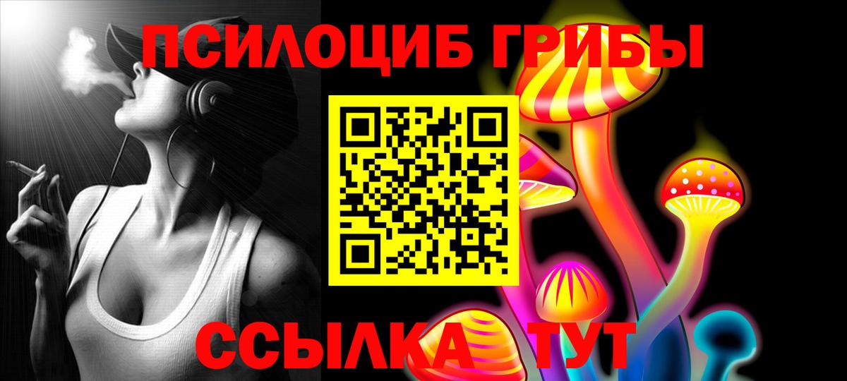 Псилоцибиновые грибы GOLDEN TEACHER Красногорск