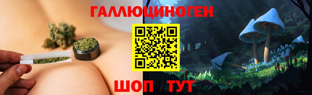 Галлюциногенные грибы мухоморы  купить закладку  Красногорск  Псилоцибиновые грибы Psilocybine cubensis  Вход с VPN 